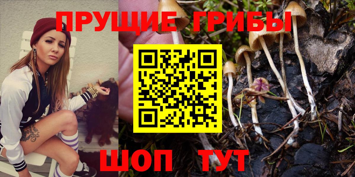 Нижний Новгород  Галлюциногенные грибы Magic Shrooms  Псилоцибиновые грибы мухоморы  Вход с VPN 