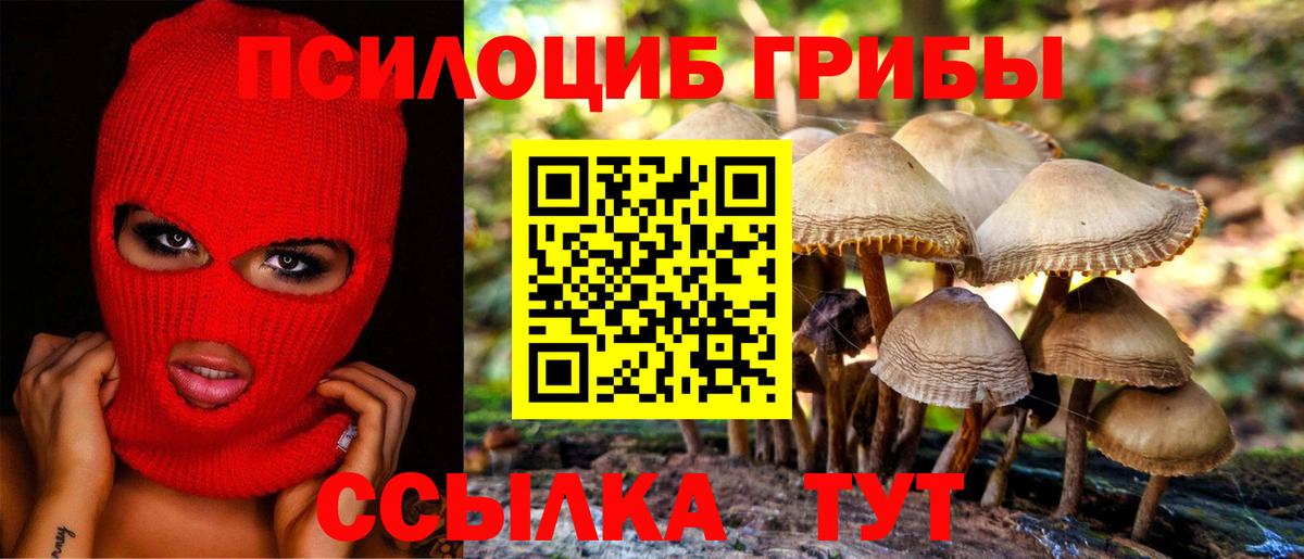 Галлюциногенные грибы прущие грибы Нижний Новгород